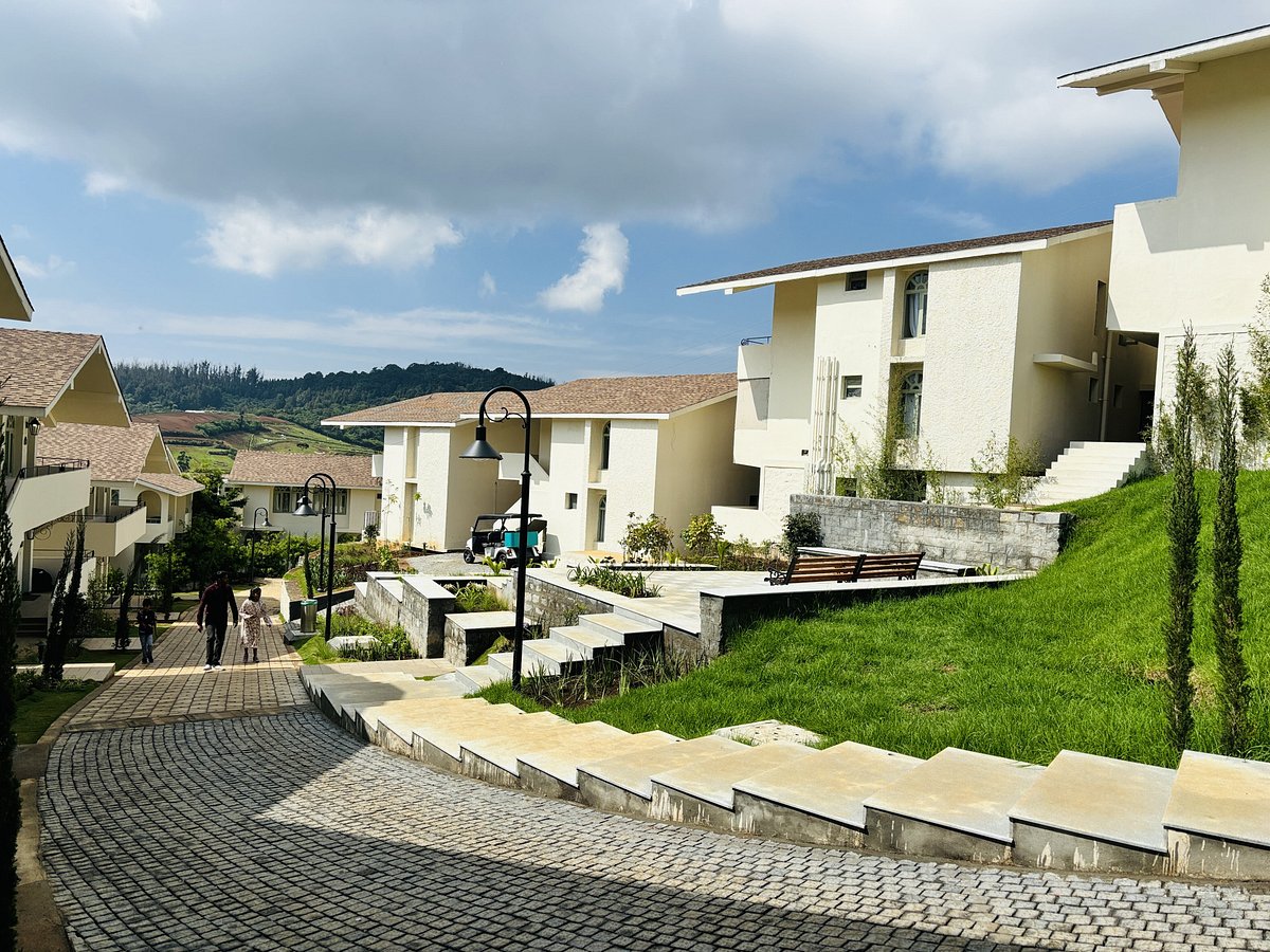 A great stay at Mango Hills, Shola, Ooty - MAngo Hill Review